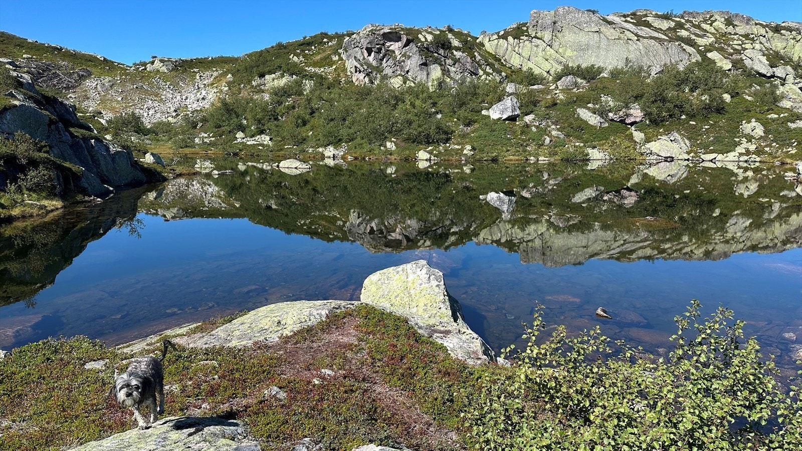 Selgers egne bilder (1).jpg Galleribilde