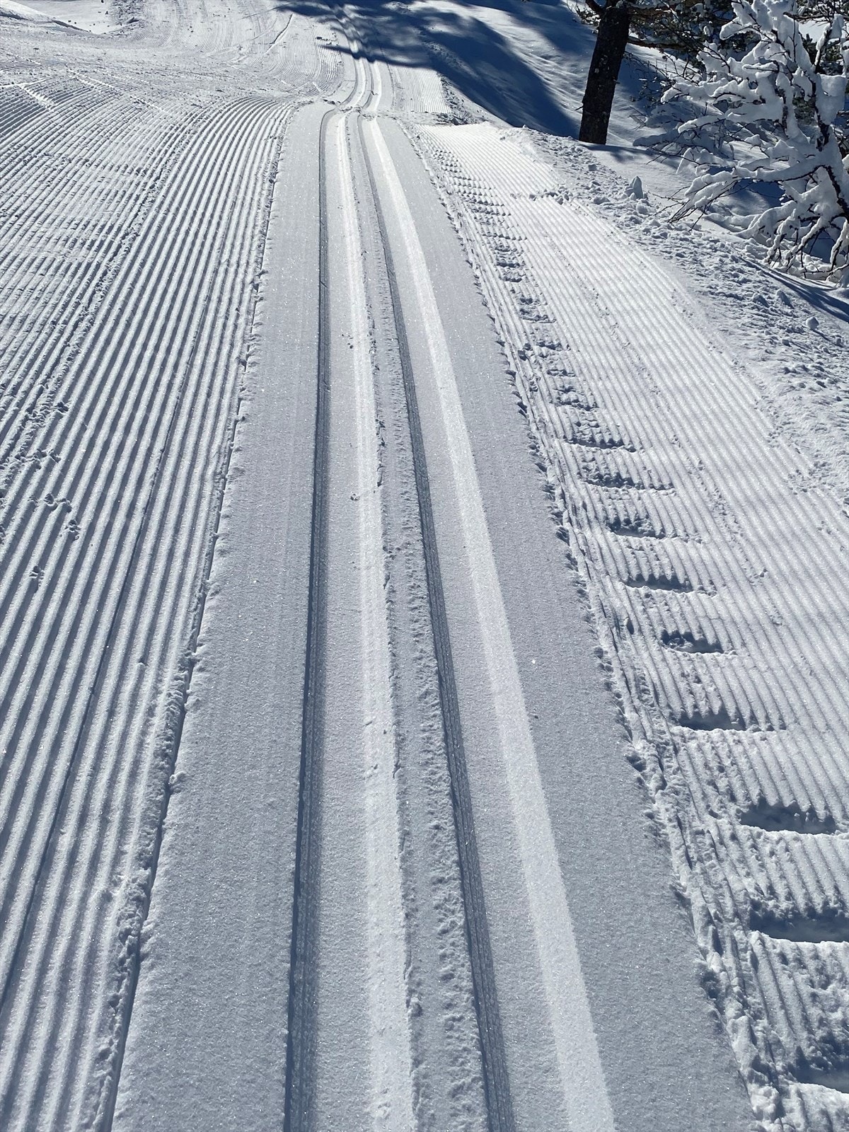 Selgers egne bilder (4).jpg Galleribilde