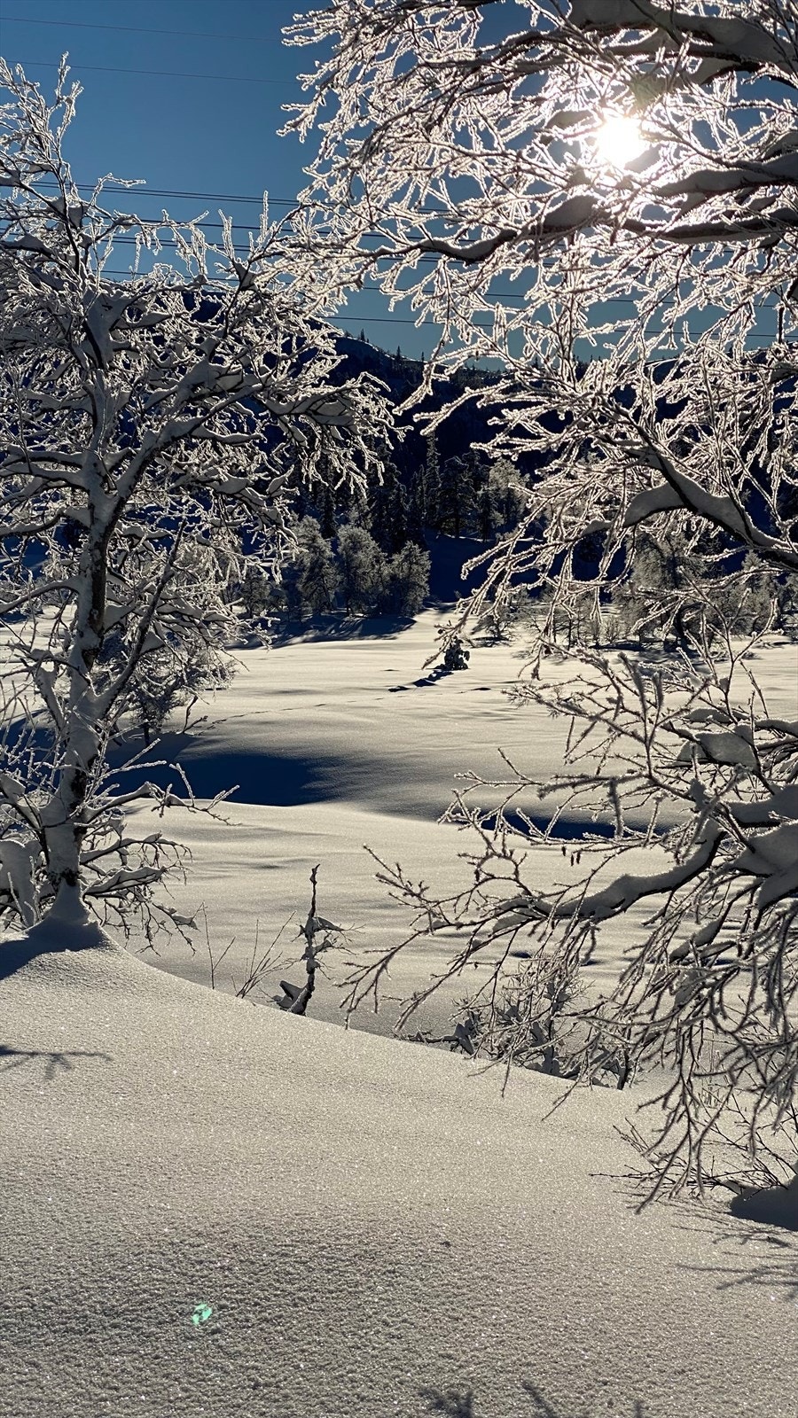 Selgers egne bilder (2).jpg Galleribilde