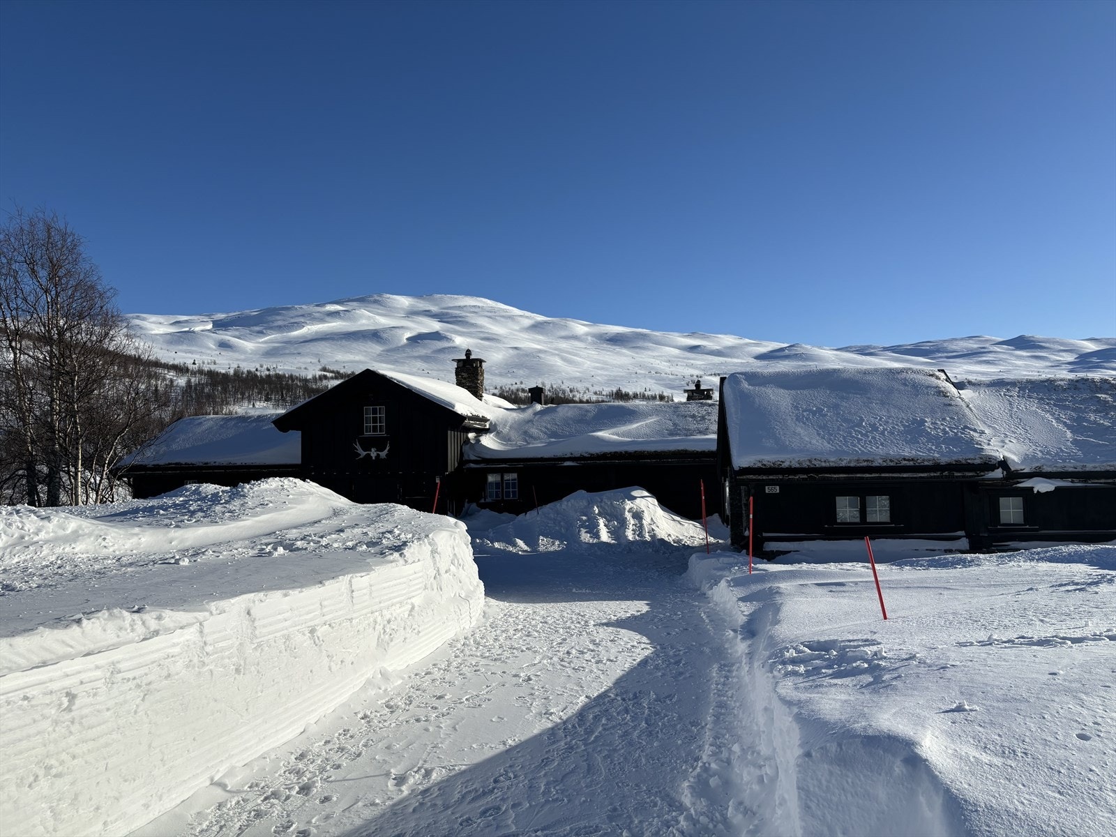 Lett adkomst Galleribilde
