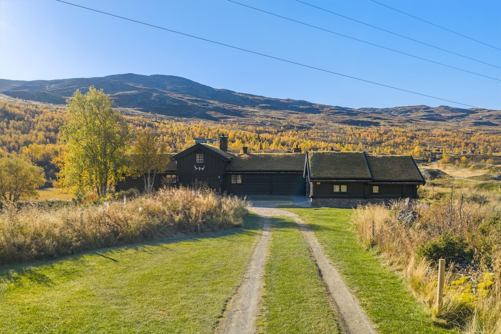 Liten privat stikkvei inn mot hytta Galleribilde