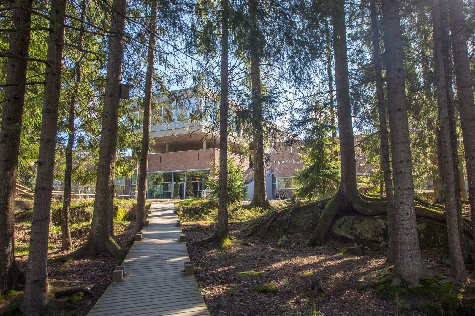 Bakkeløkka ungdomsskole - Flere skoler og barnehager i nærområdet Galleribilde