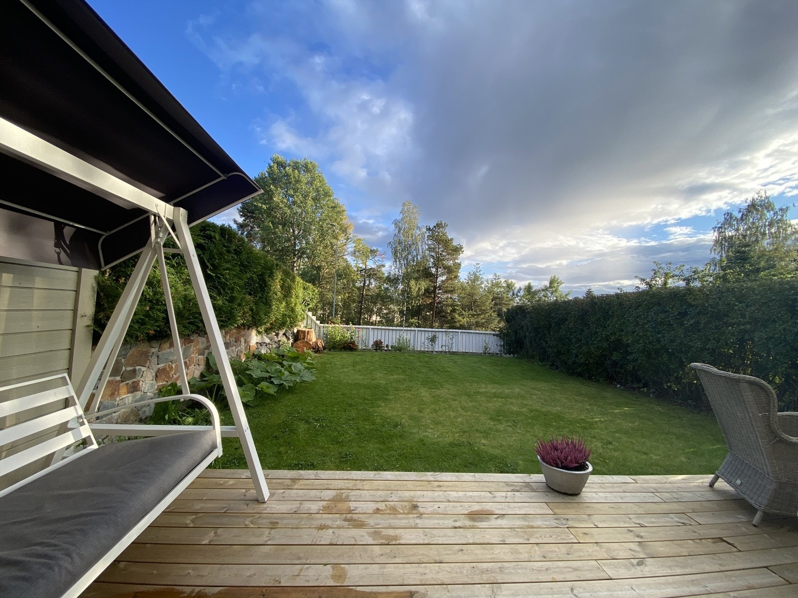 Sommerbilde (selger) Galleribilde