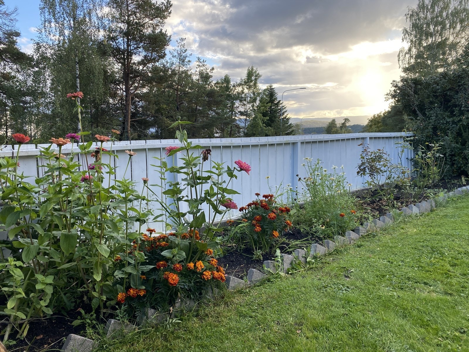 Sommerbilde selger Galleribilde