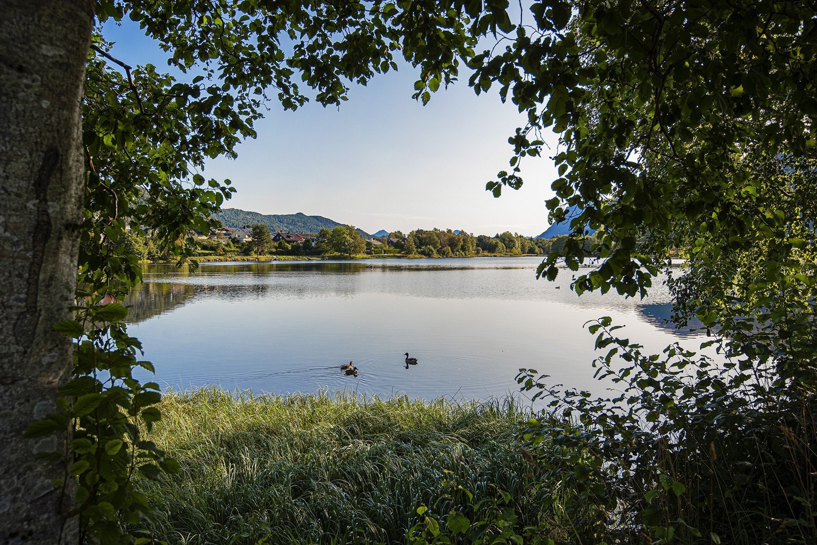 Kort vei til flotte turområder og rekreasjonsmuligheter i naturskjønne omgivelser - her fra Lillevannet som ligger i gangavstand fra eiendommen Galleribilde
