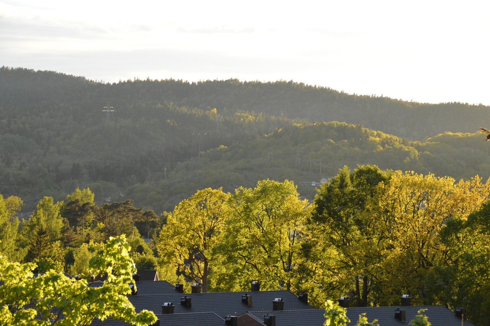 Utsikt fra balkongen på sommerstid (Selgers private bilder) Galleribilde