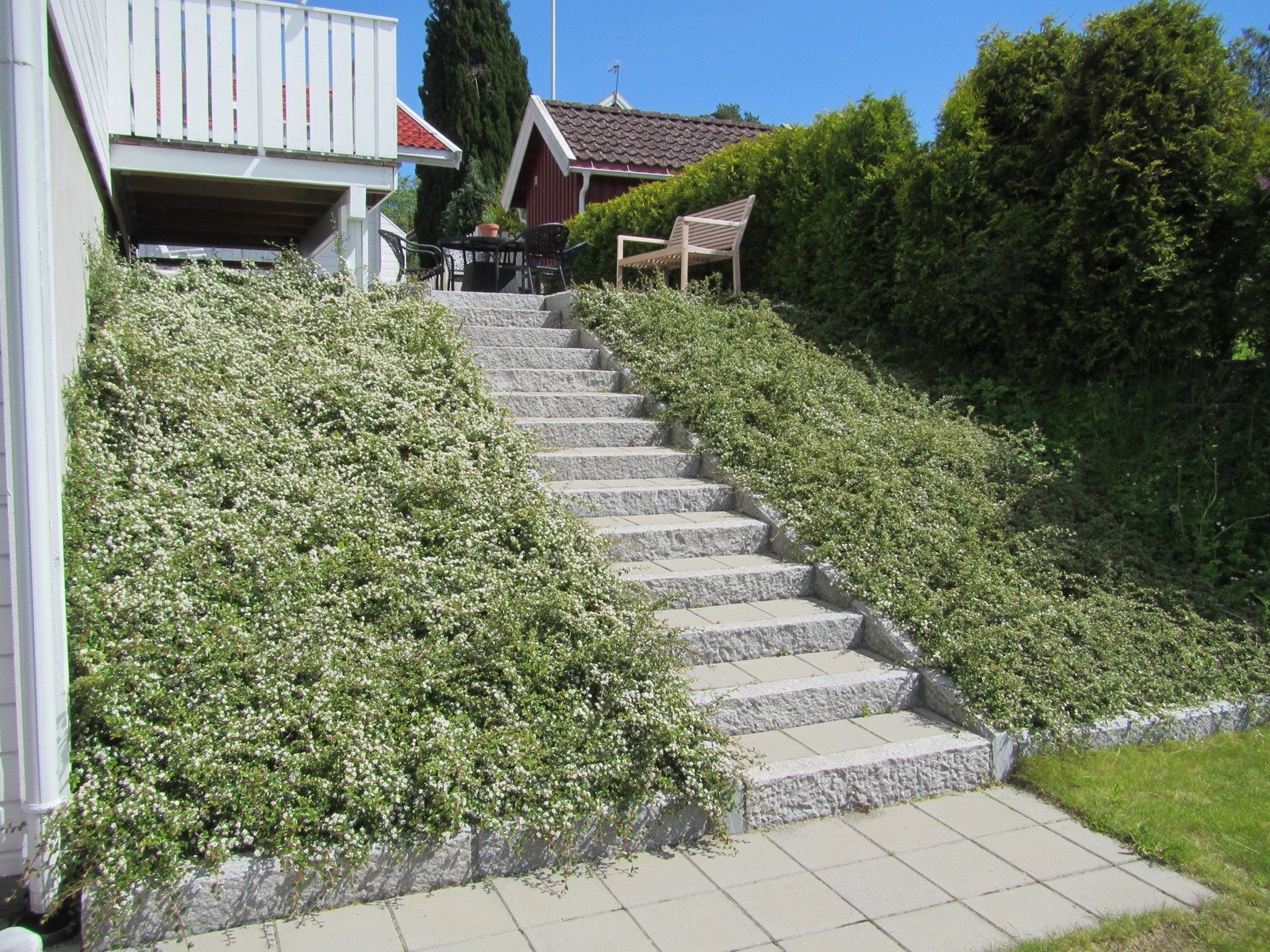 Pent beplantet ved trappen (Selgers private bilder) Galleribilde