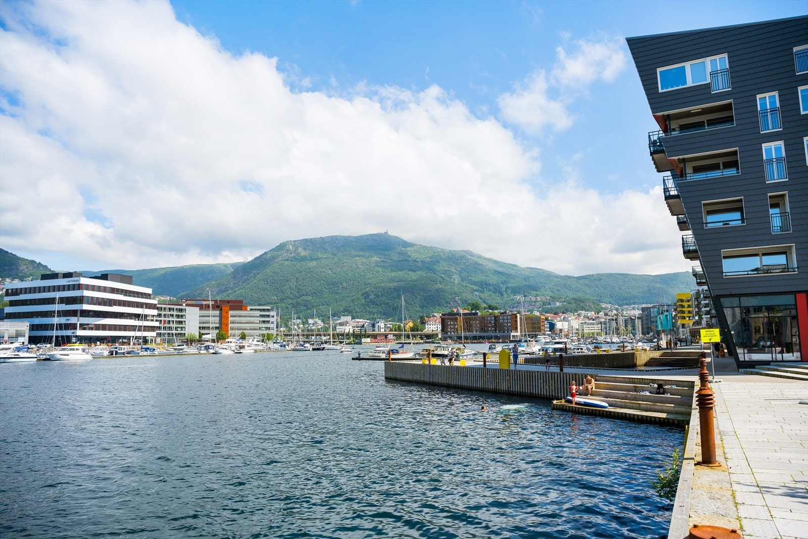Damsgård er kjent for sine flotte områder med badeplasser om sommeren, og saunaer om vinteren! Her er det også matvarebutikk, takeaway og bakeri. Galleribilde