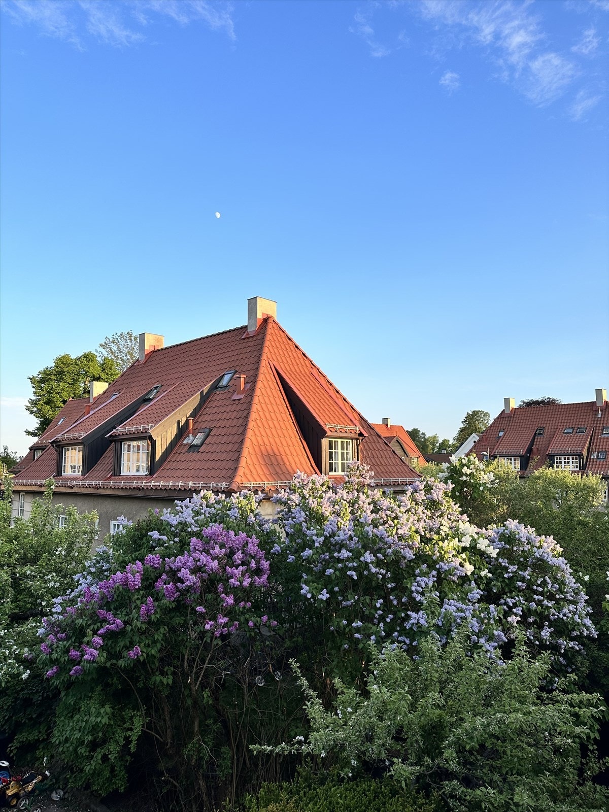 Selgers eget bilde. Galleribilde