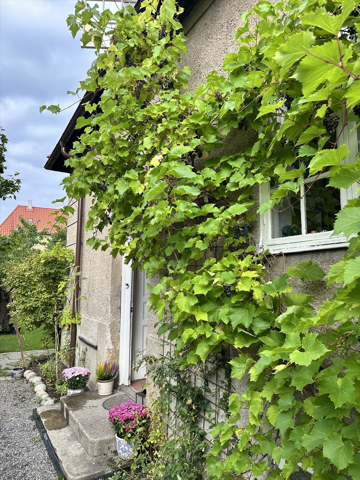 Selgers eget bilde. Galleribilde