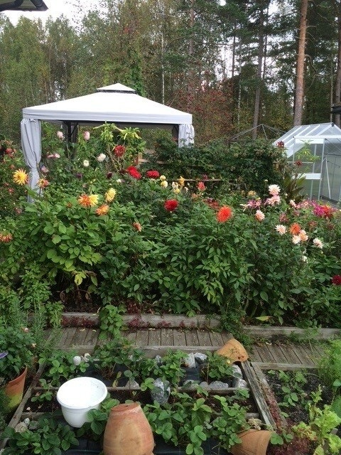 Uteplass med plass til pergola, små veksthus, grønnsaker etc Galleribilde