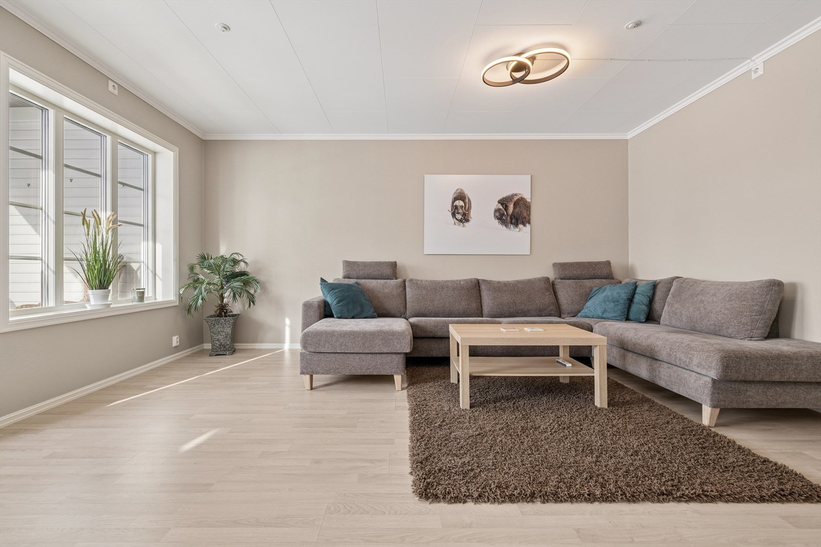 Stuen har god plass til en romslig sofagruppe. Galleribilde