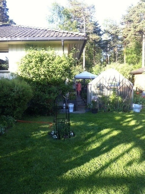 Bilder fra hagen Galleribilde