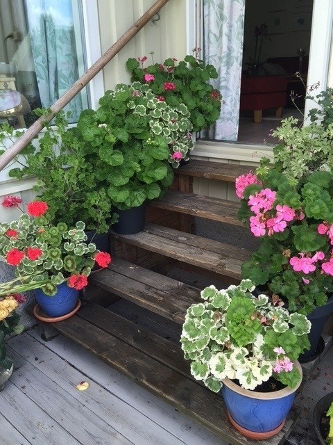 Trapp fra terrasse opp til stue Galleribilde