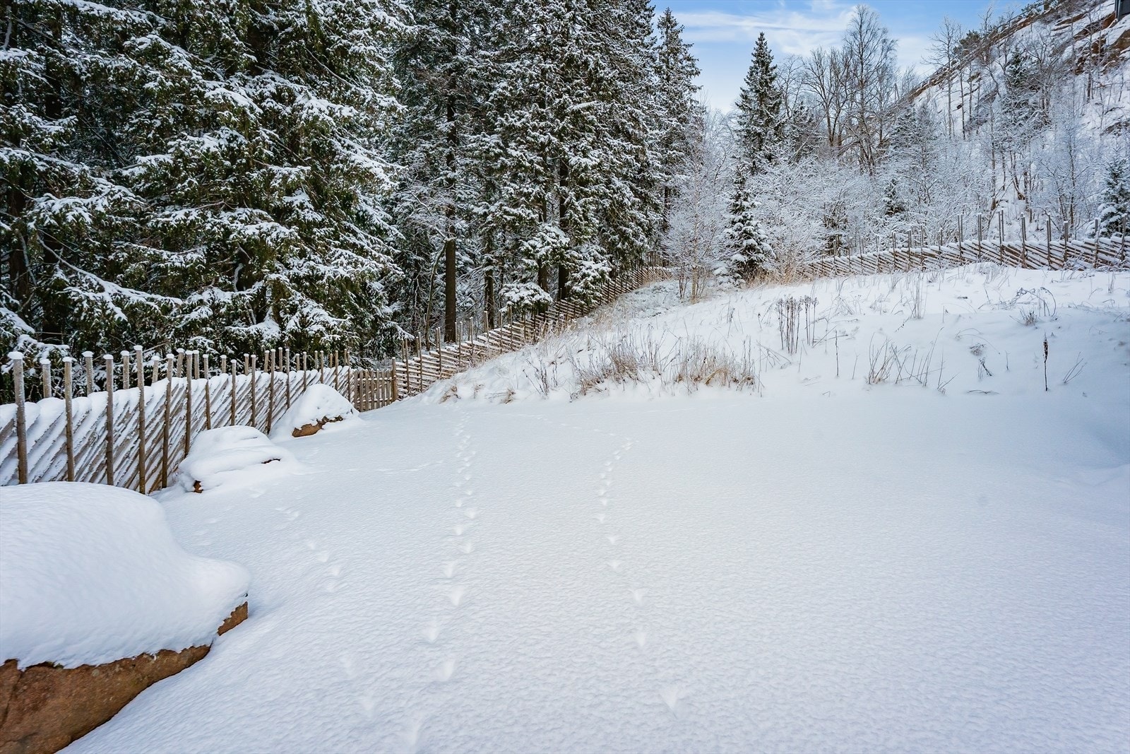 Hagen grenser til idyllisk friområde Galleribilde