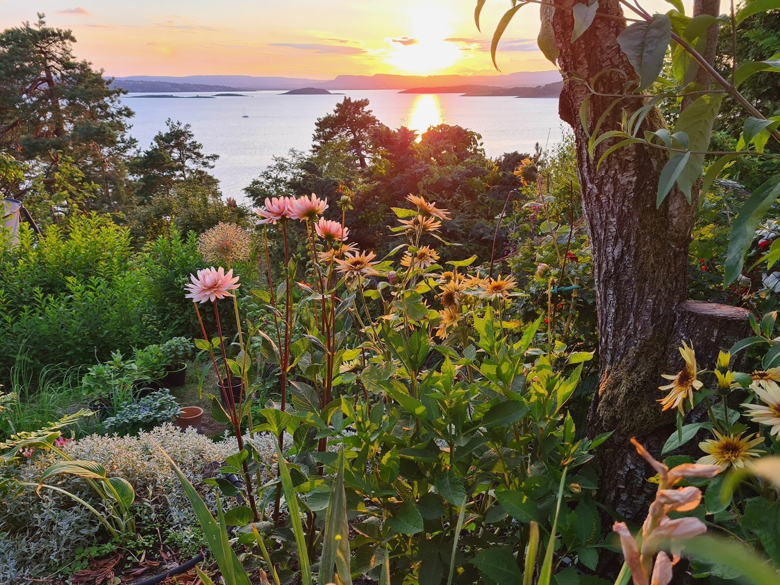 Bilder tatt av selger viser deler av beplantningen i sommerhalvåret. Galleribilde