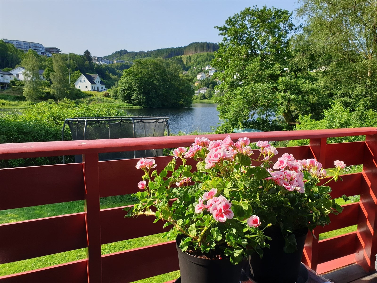 Privat sommerbilde. Galleribilde