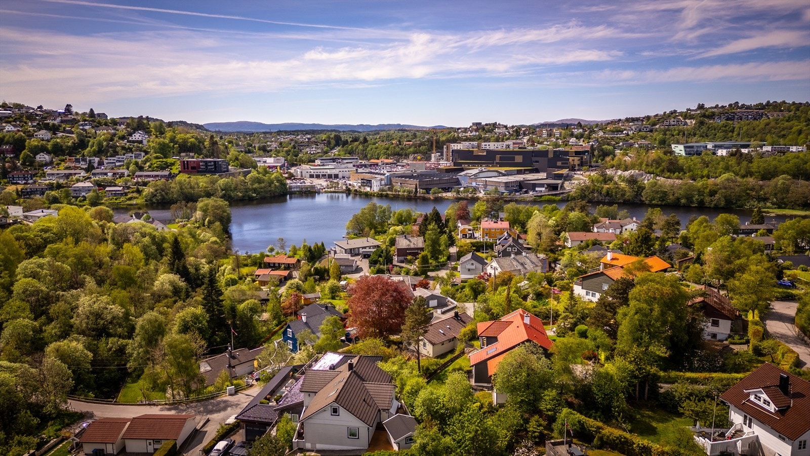 Frodig og grønt område om sommeren. Galleribilde