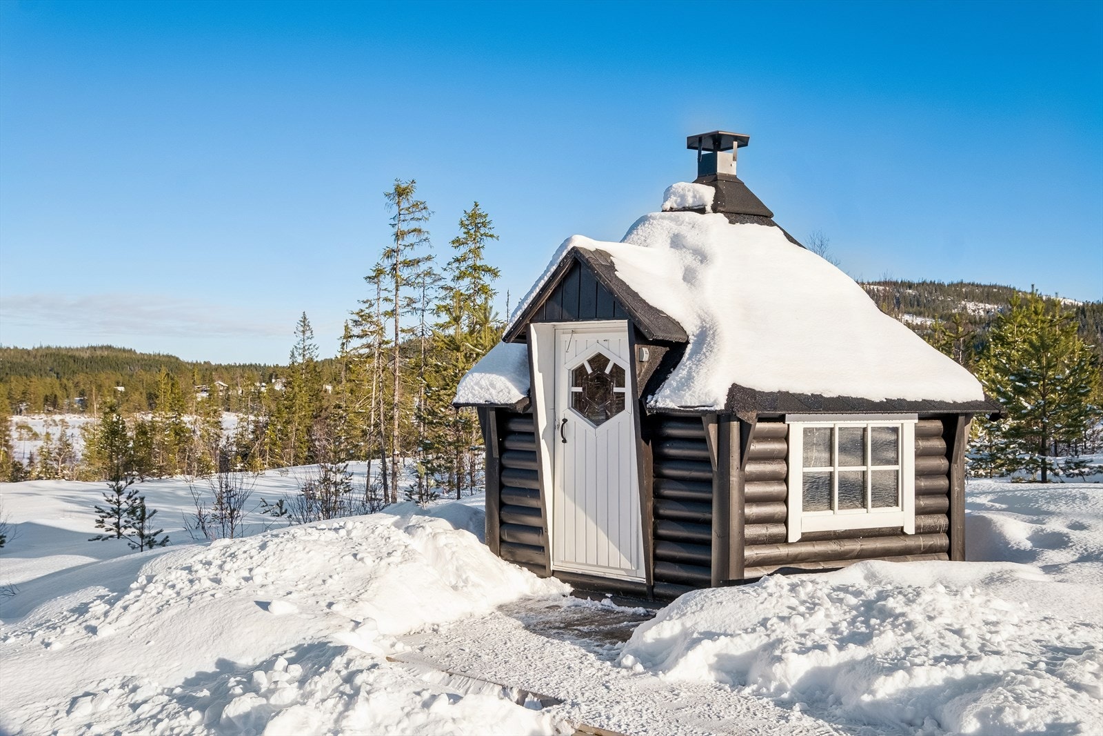 Grillhytte Galleribilde