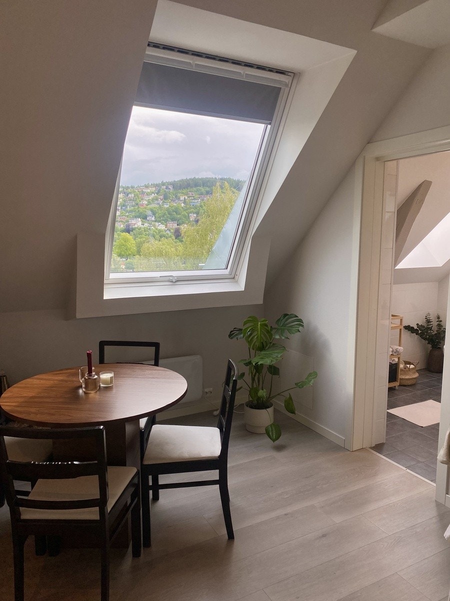 Det er stort vindu i rommet med fantastisk utsikt mot Nidelva. Galleribilde