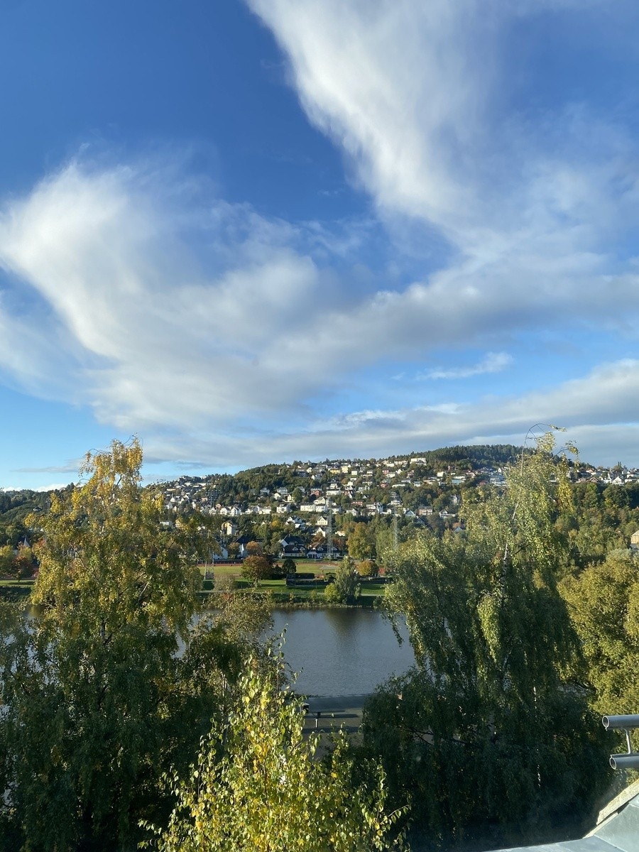 Dette er utsikten fra vinduet! Galleribilde