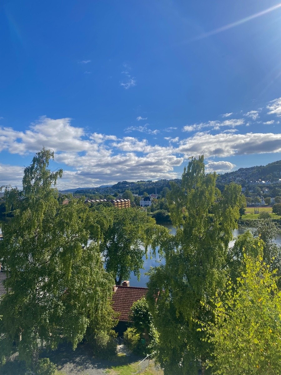 Utsikt fra vinduet! Galleribilde