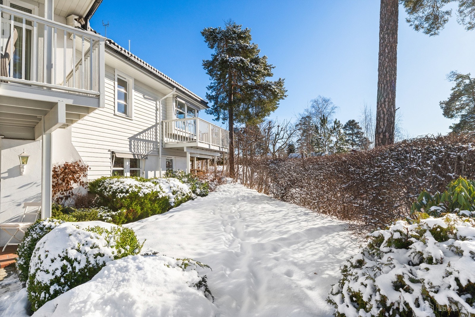 Det er fint plenareal på vestsiden av boligen, omkranset av hekk og med ulike vekster i bed Galleribilde