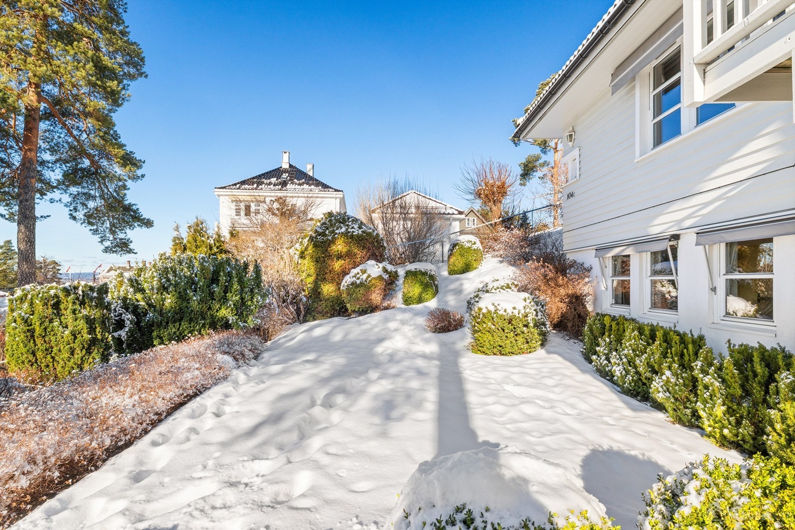 Vestvendt og solrik hage Galleribilde