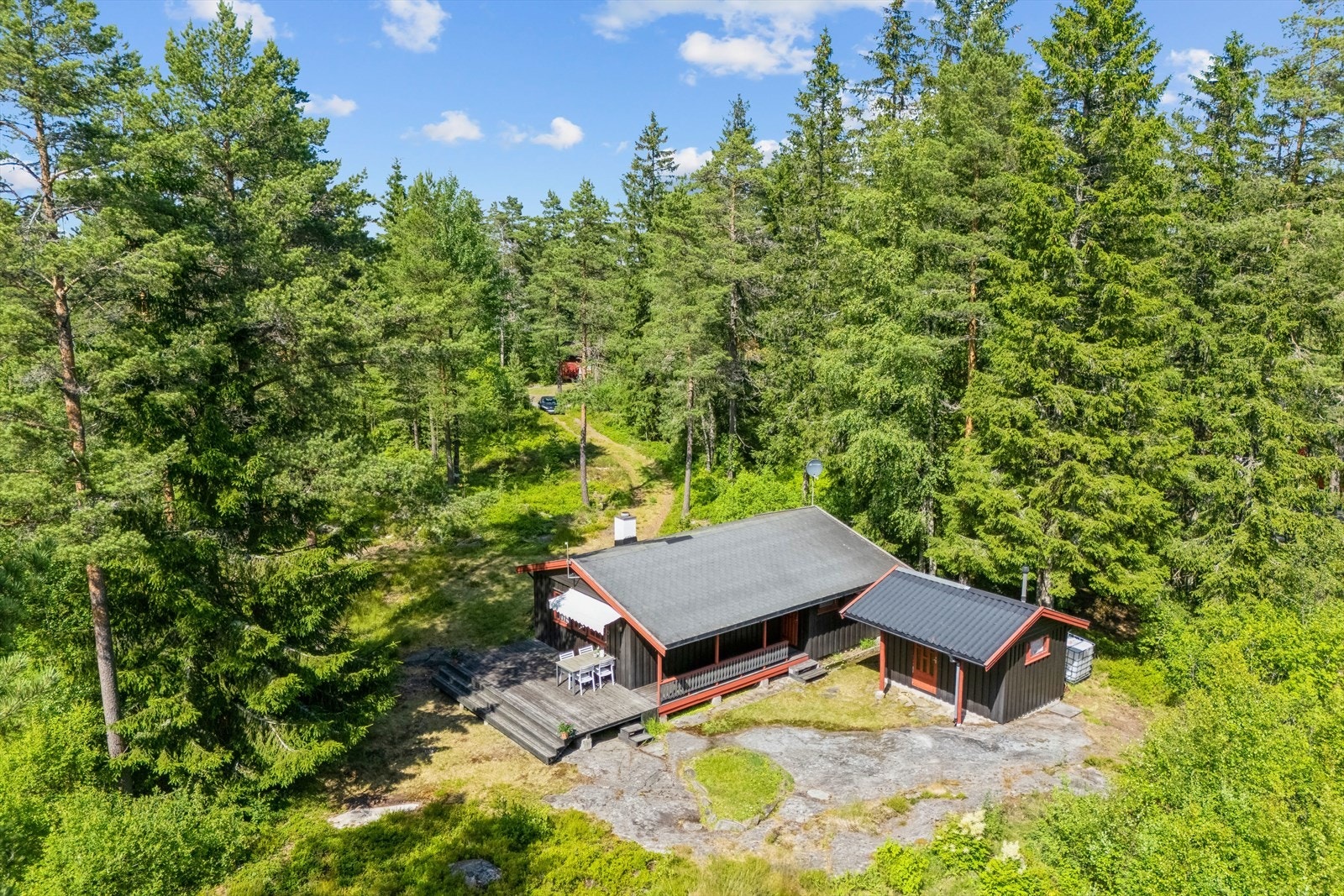 Tilnærmet flat naturtomt med vegetasjon og trær Galleribilde