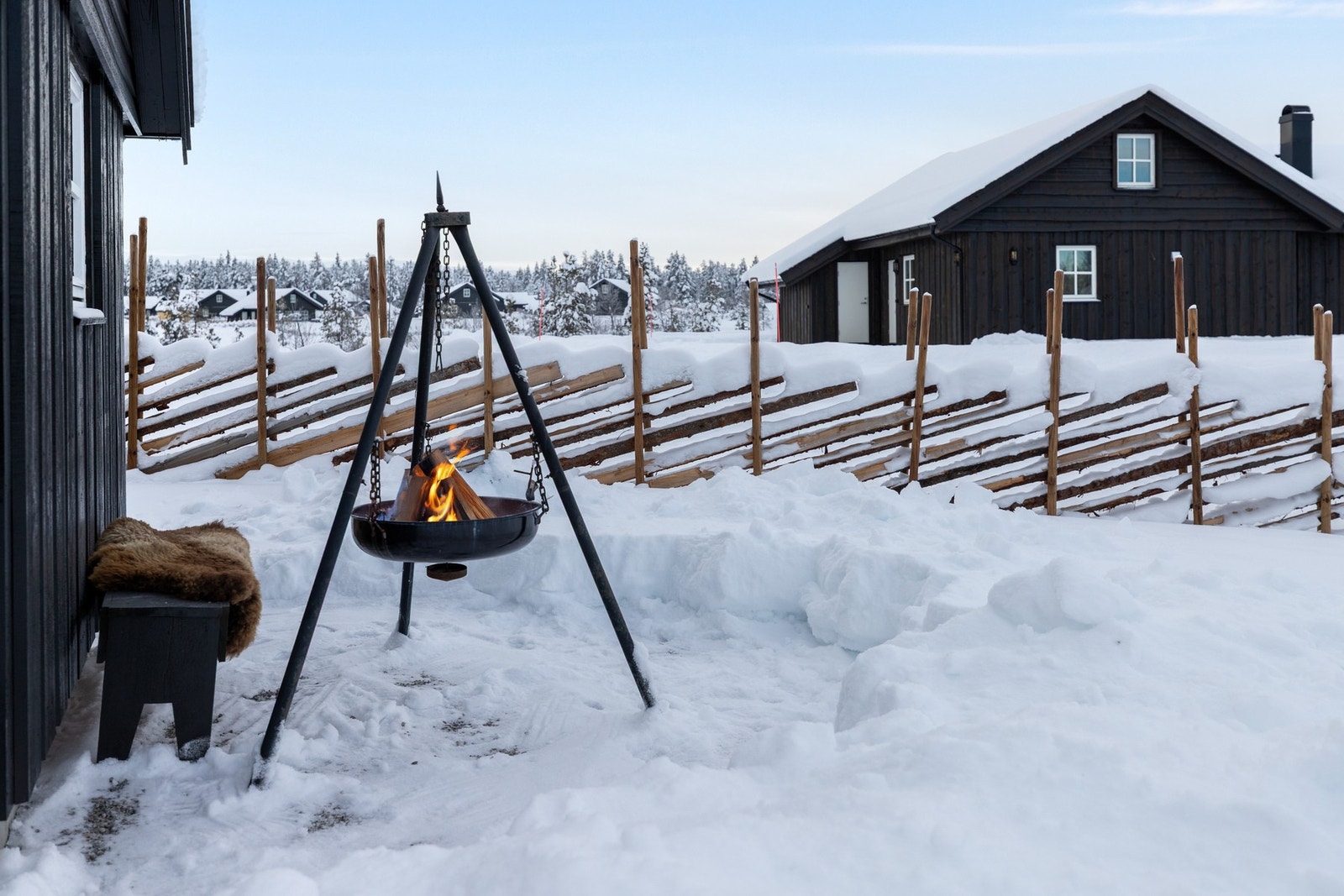 Kos ved bålpanna Galleribilde