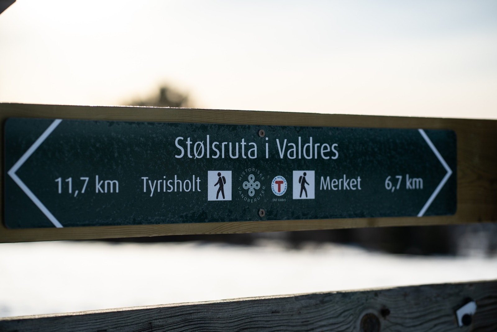 Ut på tur! Galleribilde