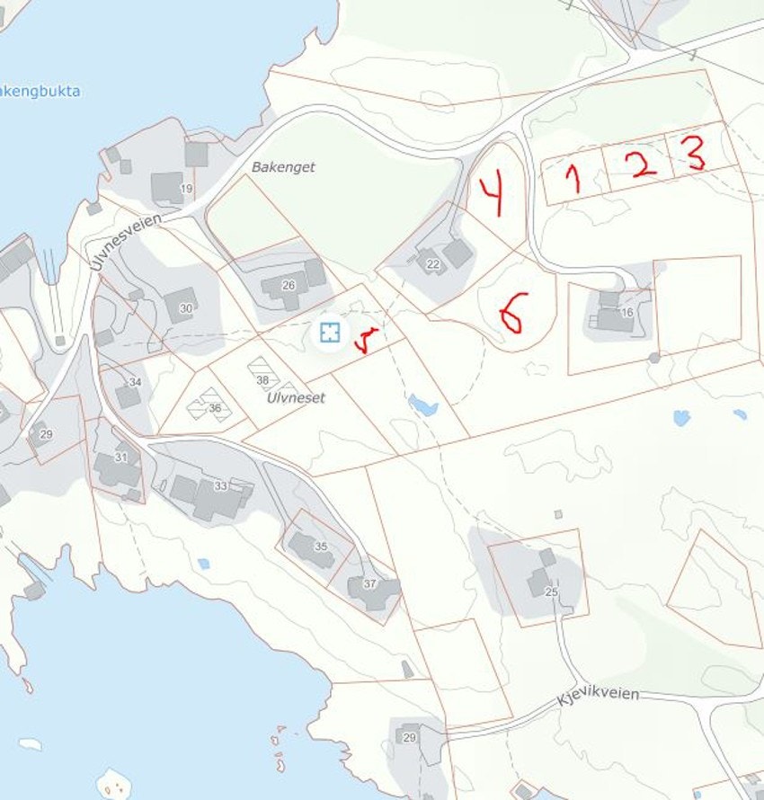 Tomtene Galleribilde