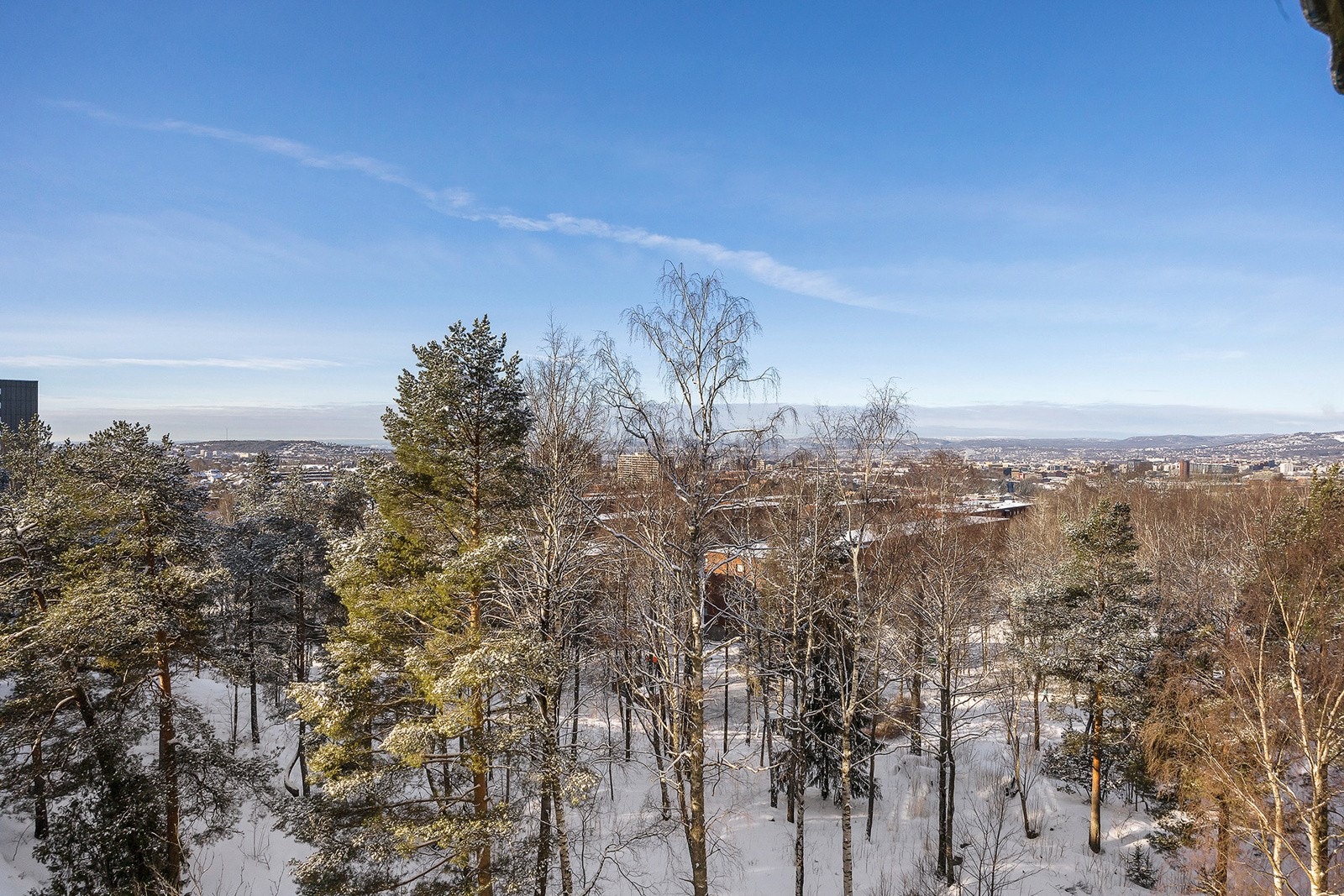 Omradebilde Galleribilde