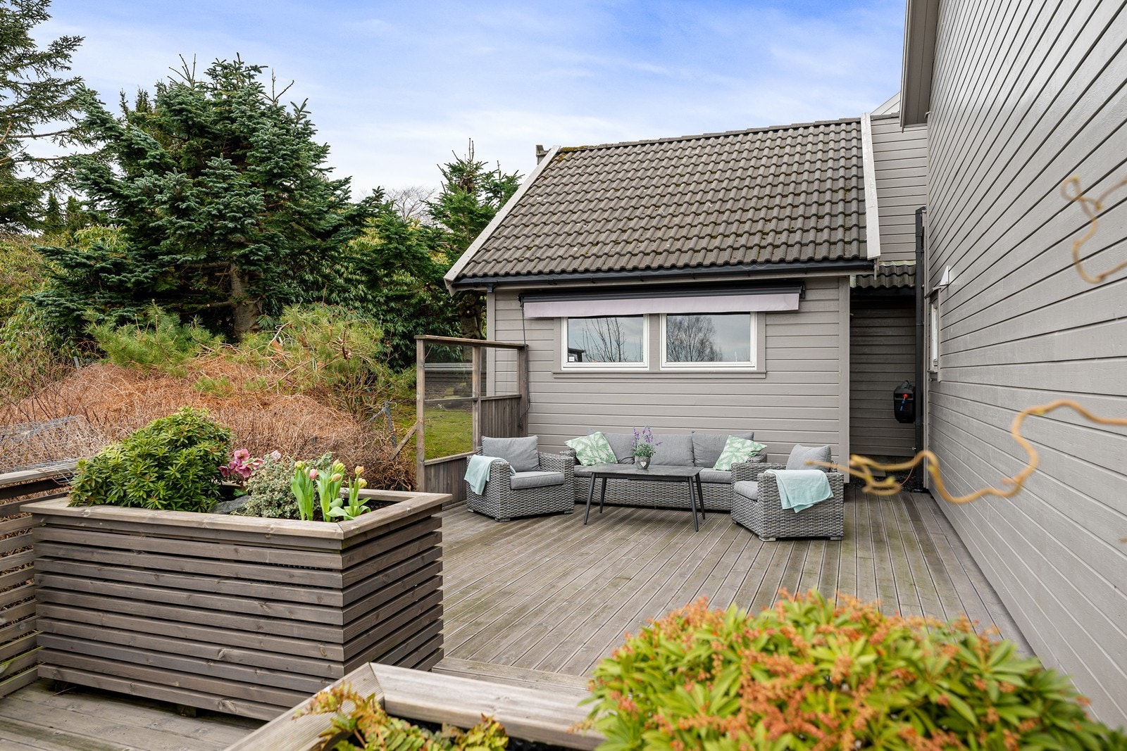 Terrasse Galleribilde