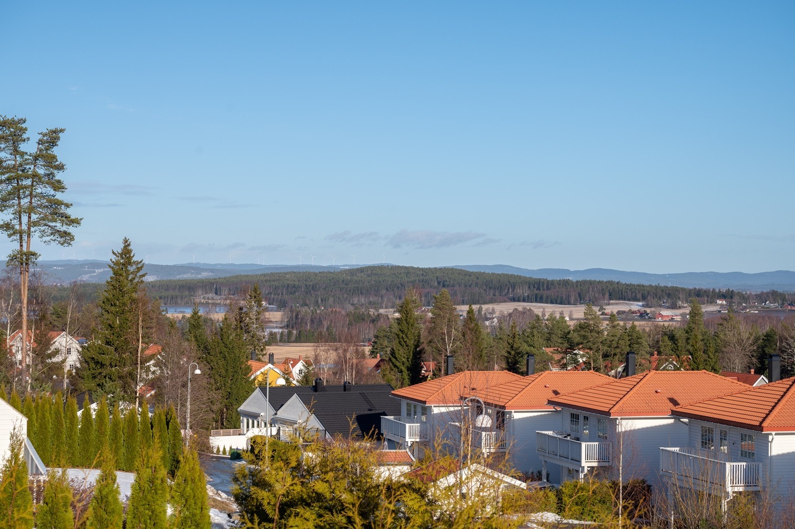 Utsikt. Galleribilde