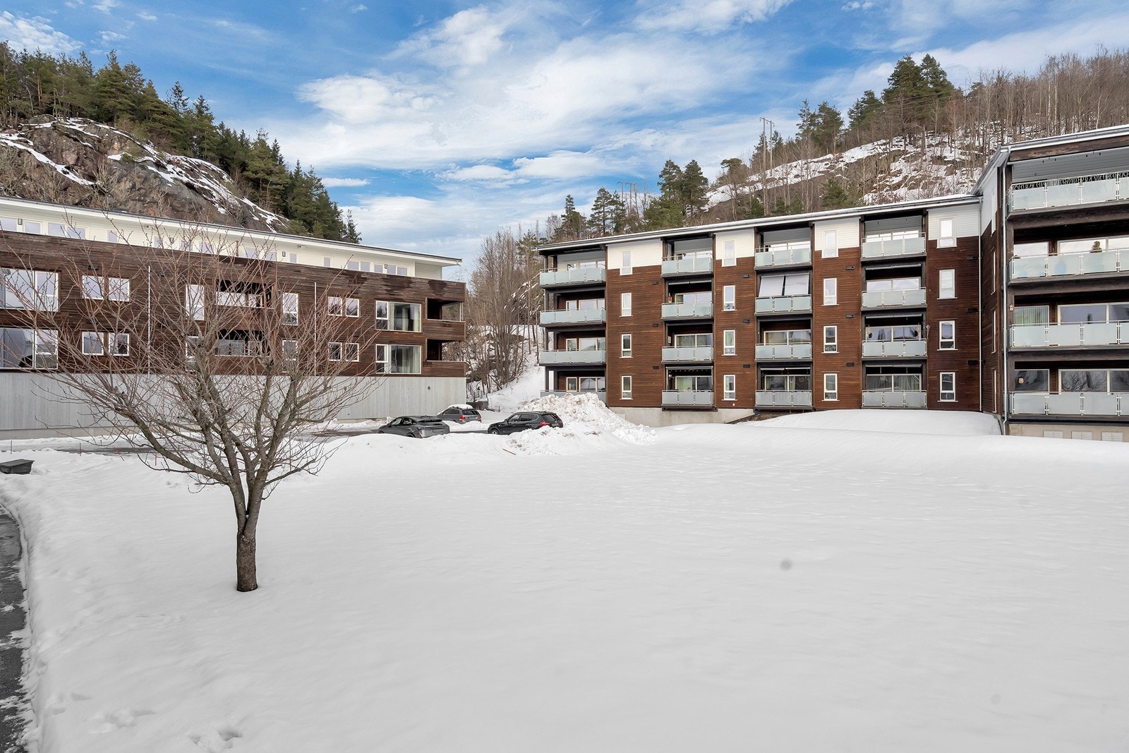 Området er pent opparbeidet med gressplen og diverse beplantning Galleribilde