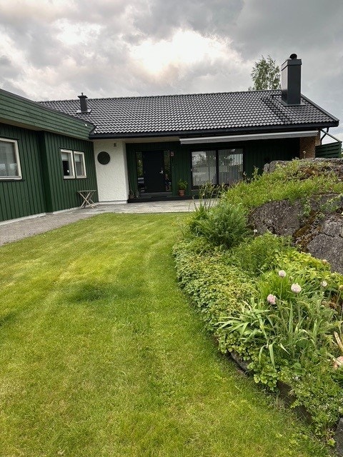 Sommerbilder (selgers bilder) Galleribilde