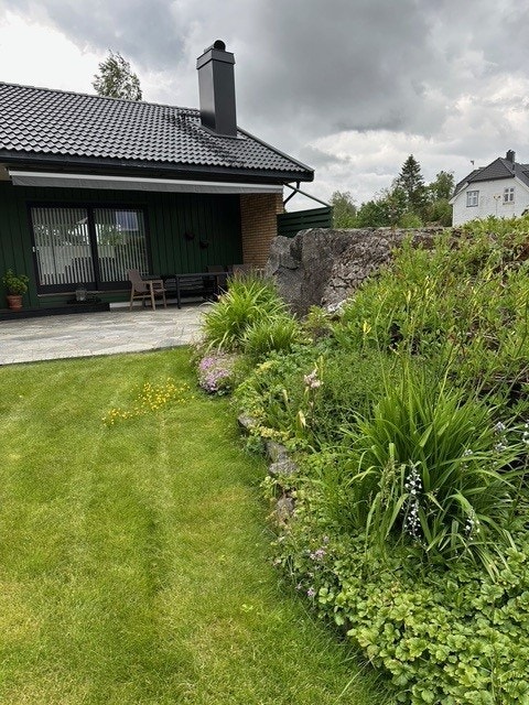 Sommerbilder (selgers bilder) Galleribilde