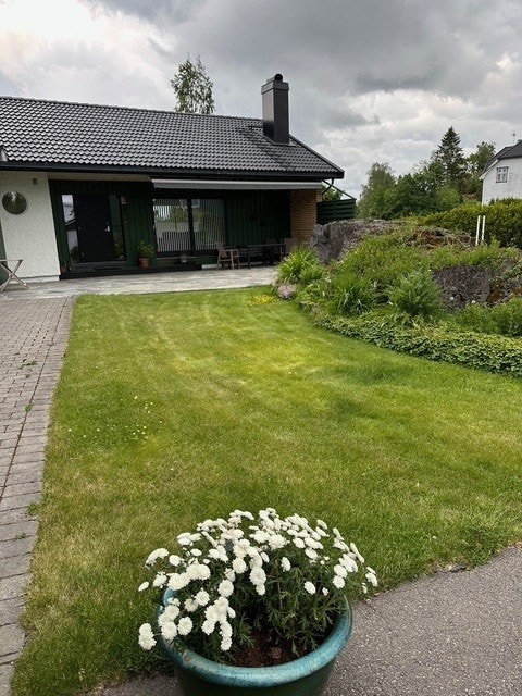 Sommerbilder (selgers bilder) Galleribilde