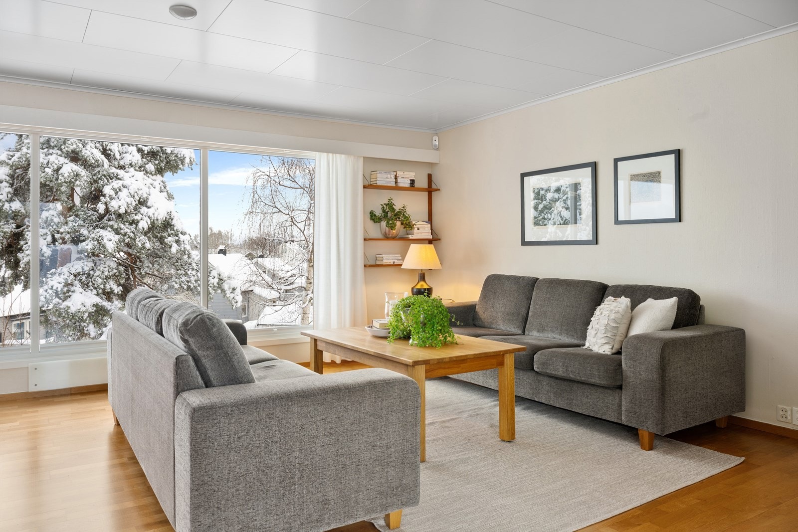 Her er det god plass til stor sofagruppe og hyggelig utsyn Galleribilde