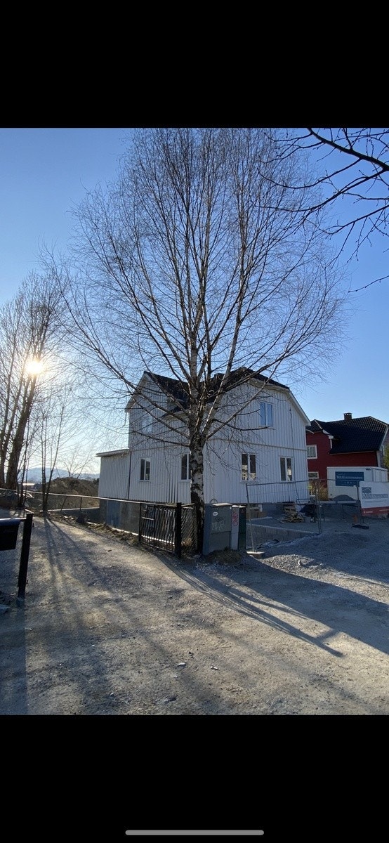Fasade Galleribilde