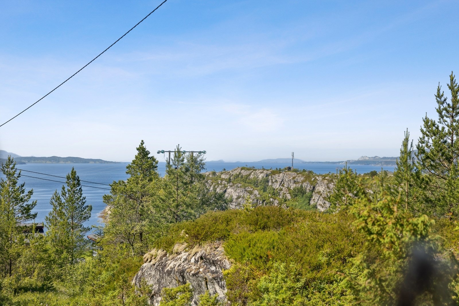 Velkommen til visning! Galleribilde