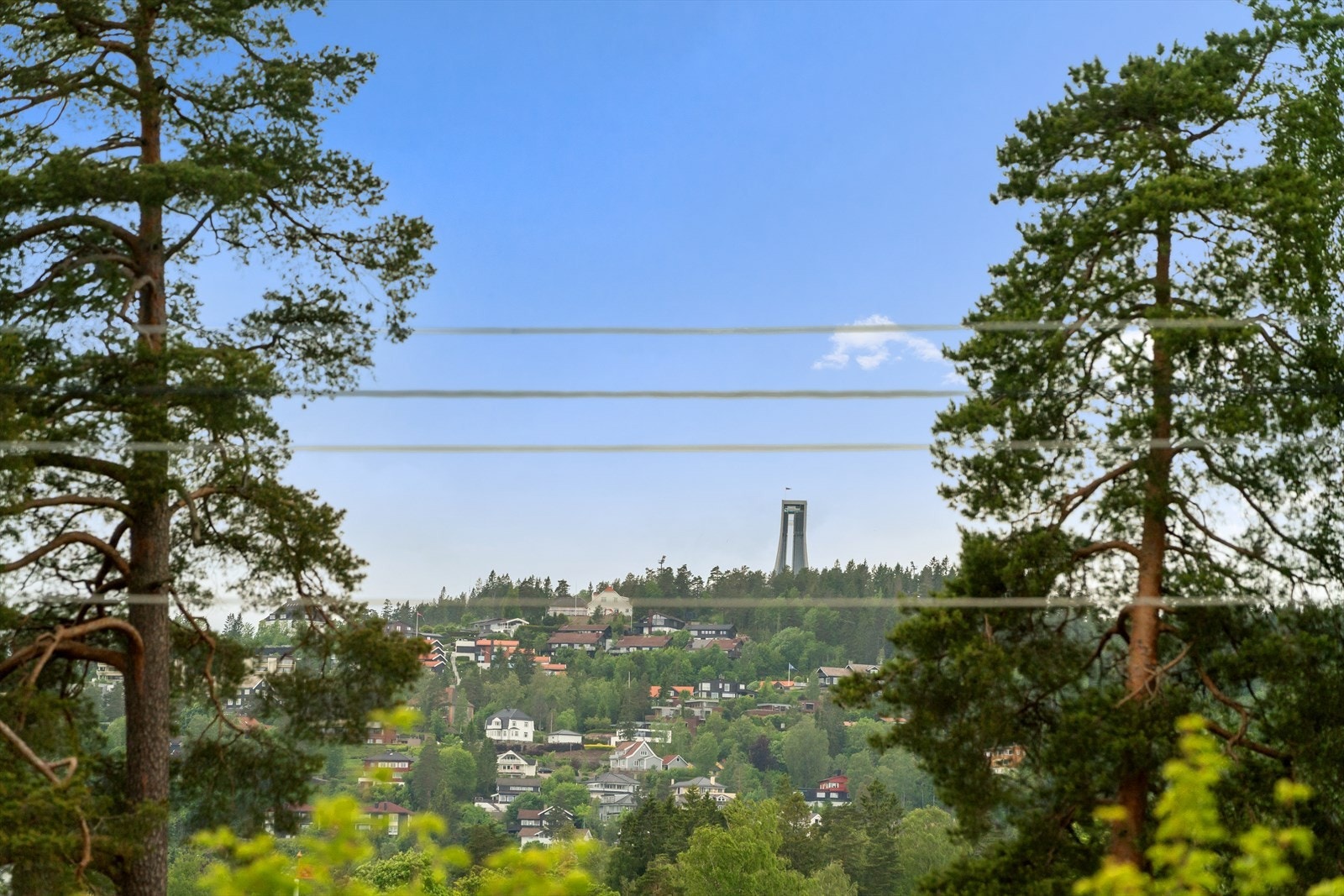 Flott utsikt Galleribilde