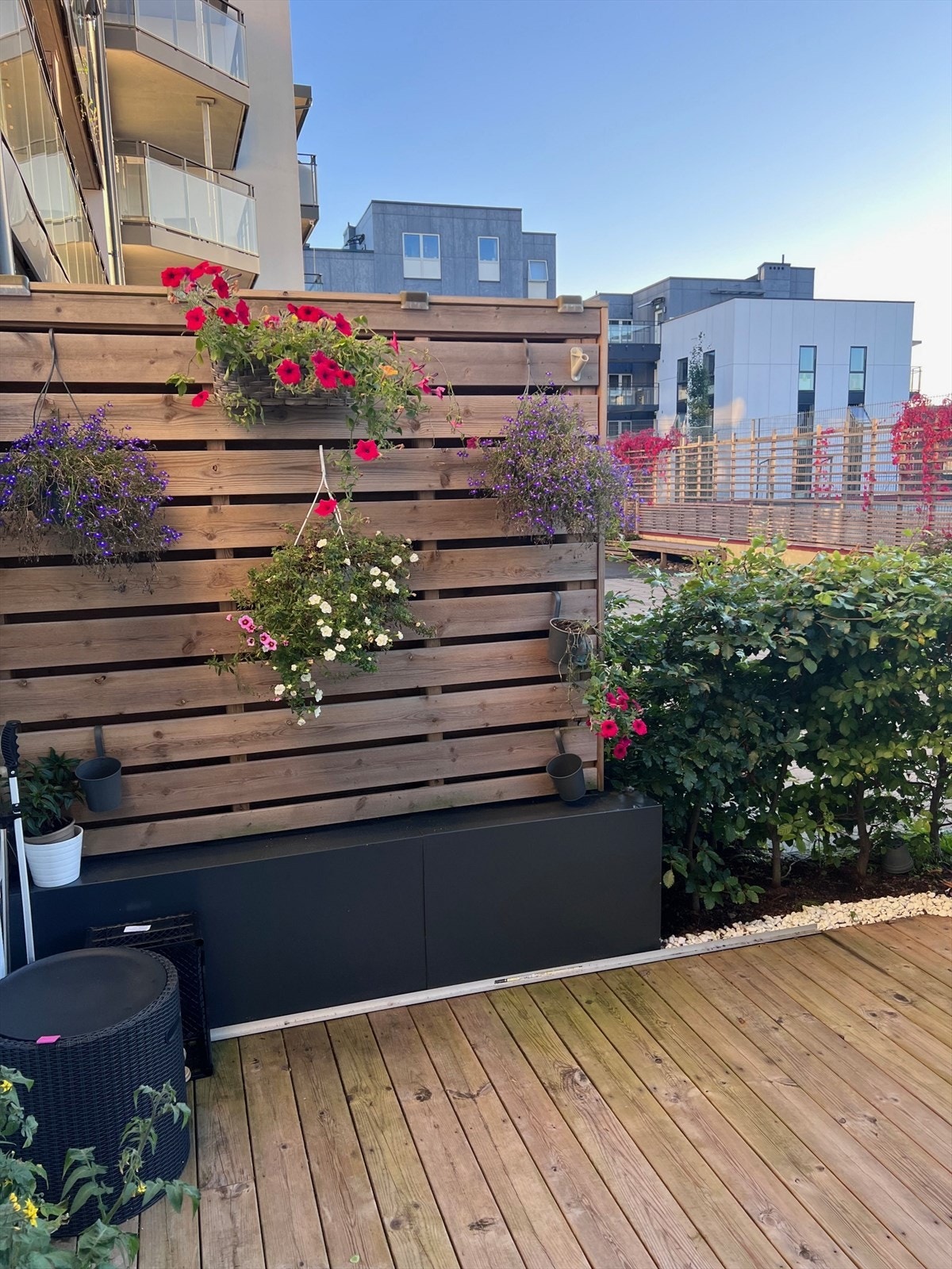 Selgers egne bilder fra terrassen (sommerstid) Galleribilde