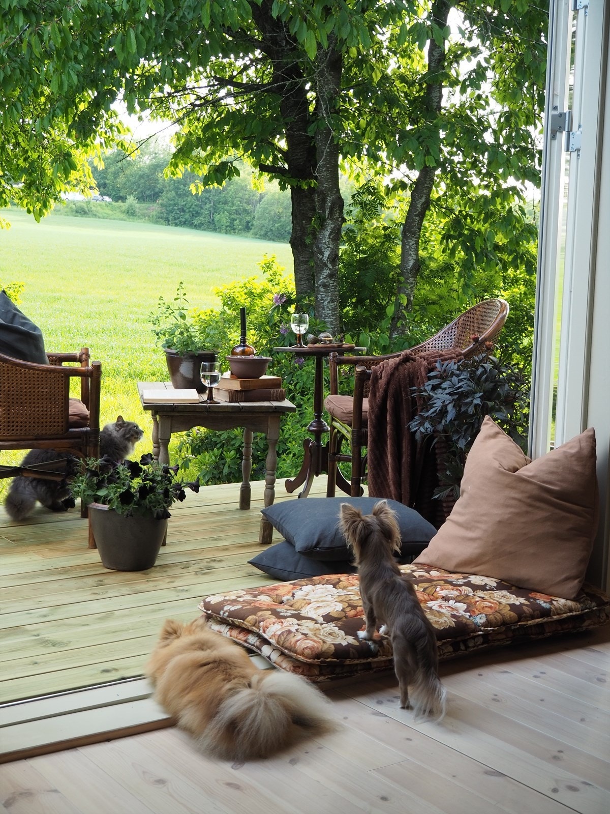 Sommerens idyll (selgers eget bilde) Galleribilde