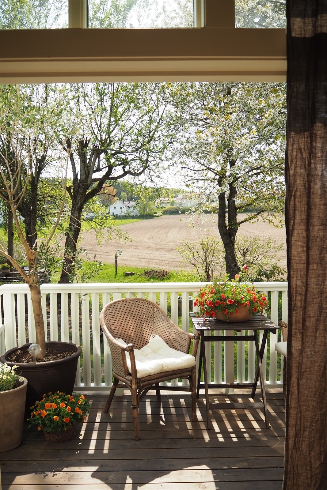 vår (selgers eget bilde) Galleribilde