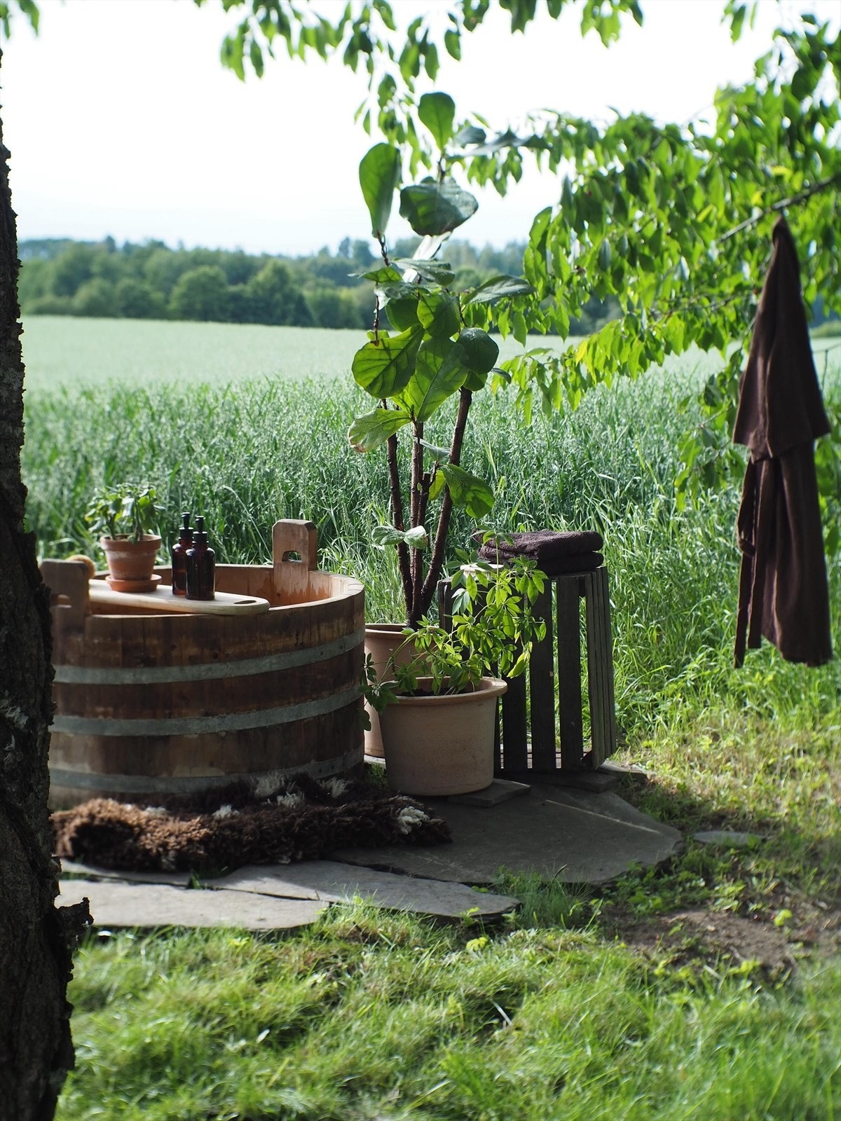 Sommerens idyll (selgers eget bilde) Galleribilde