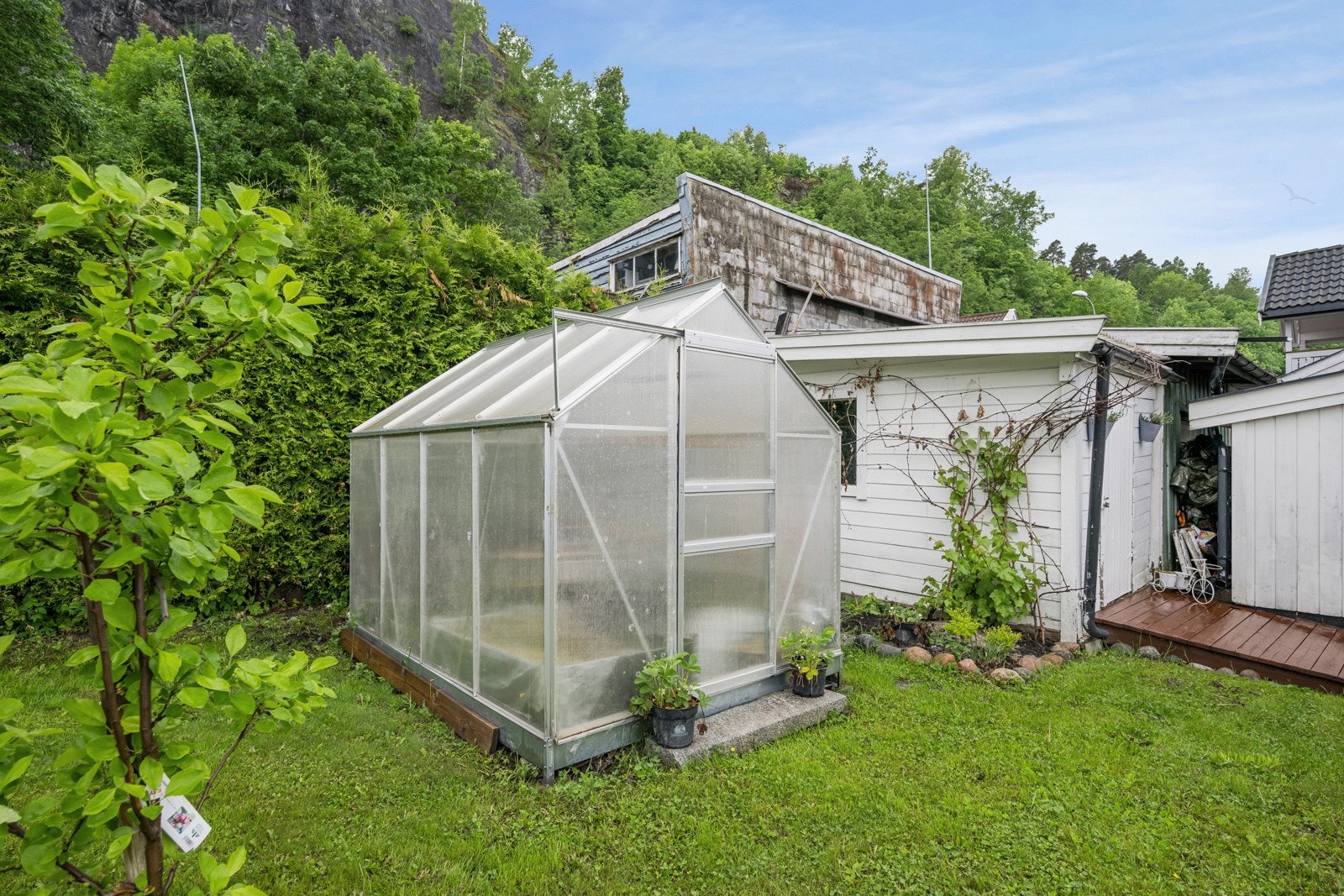 Pent opparbeidet hage med drivhus og beplantning Galleribilde