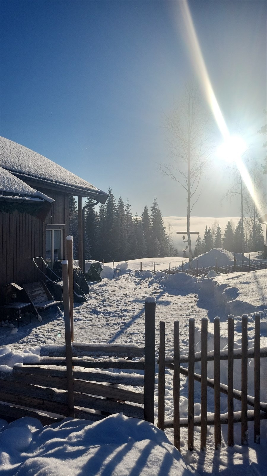 Vinterbilde Galleribilde