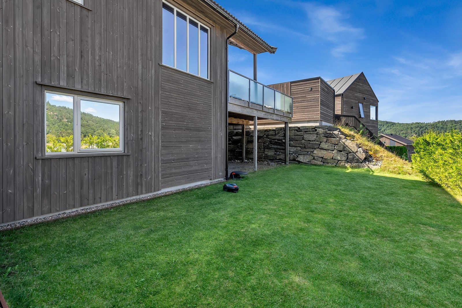 Stor gressplen Galleribilde